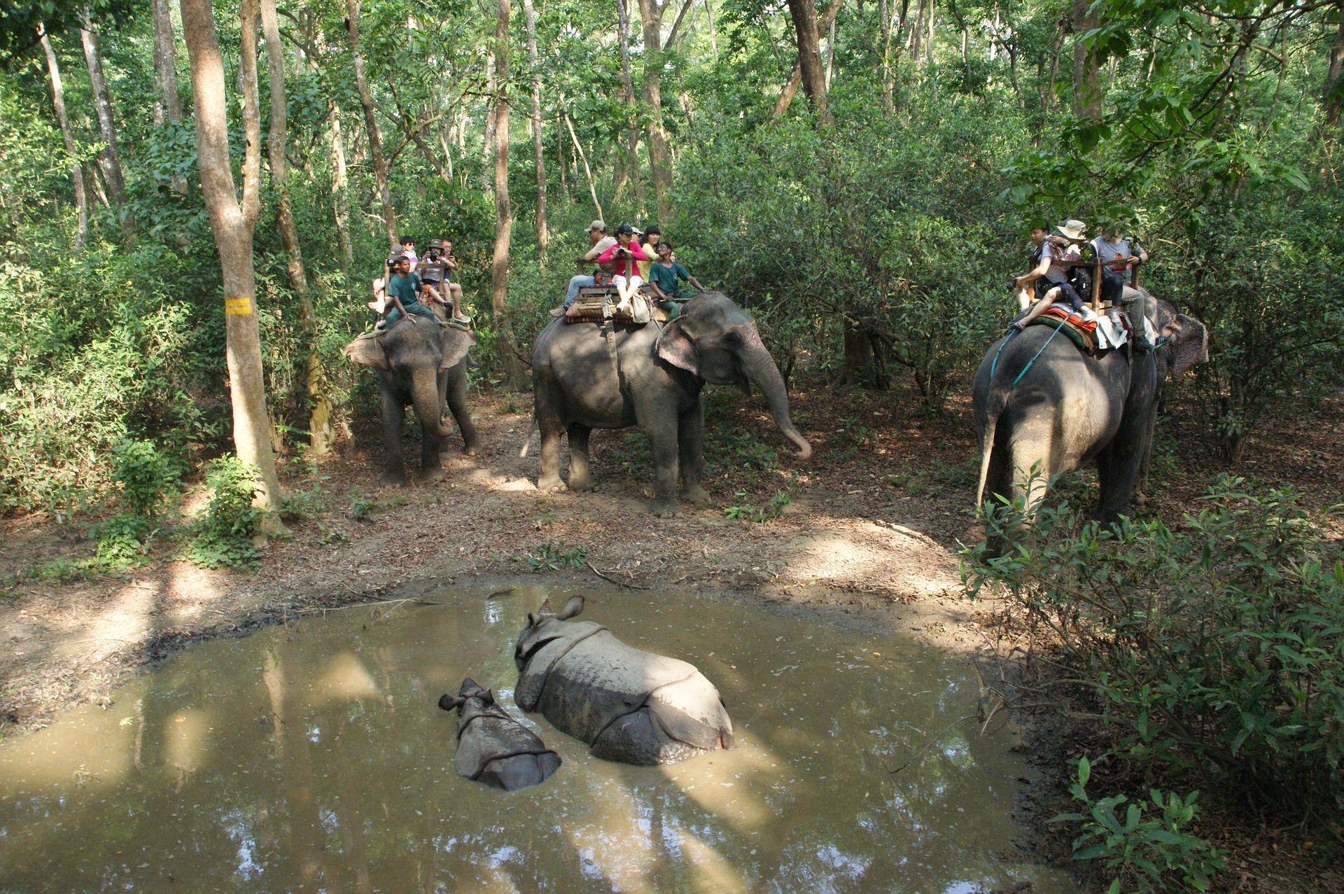 Chitwan cultural and historical sightseeing